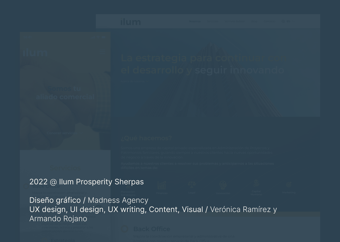 Streaming Platform Screenshot