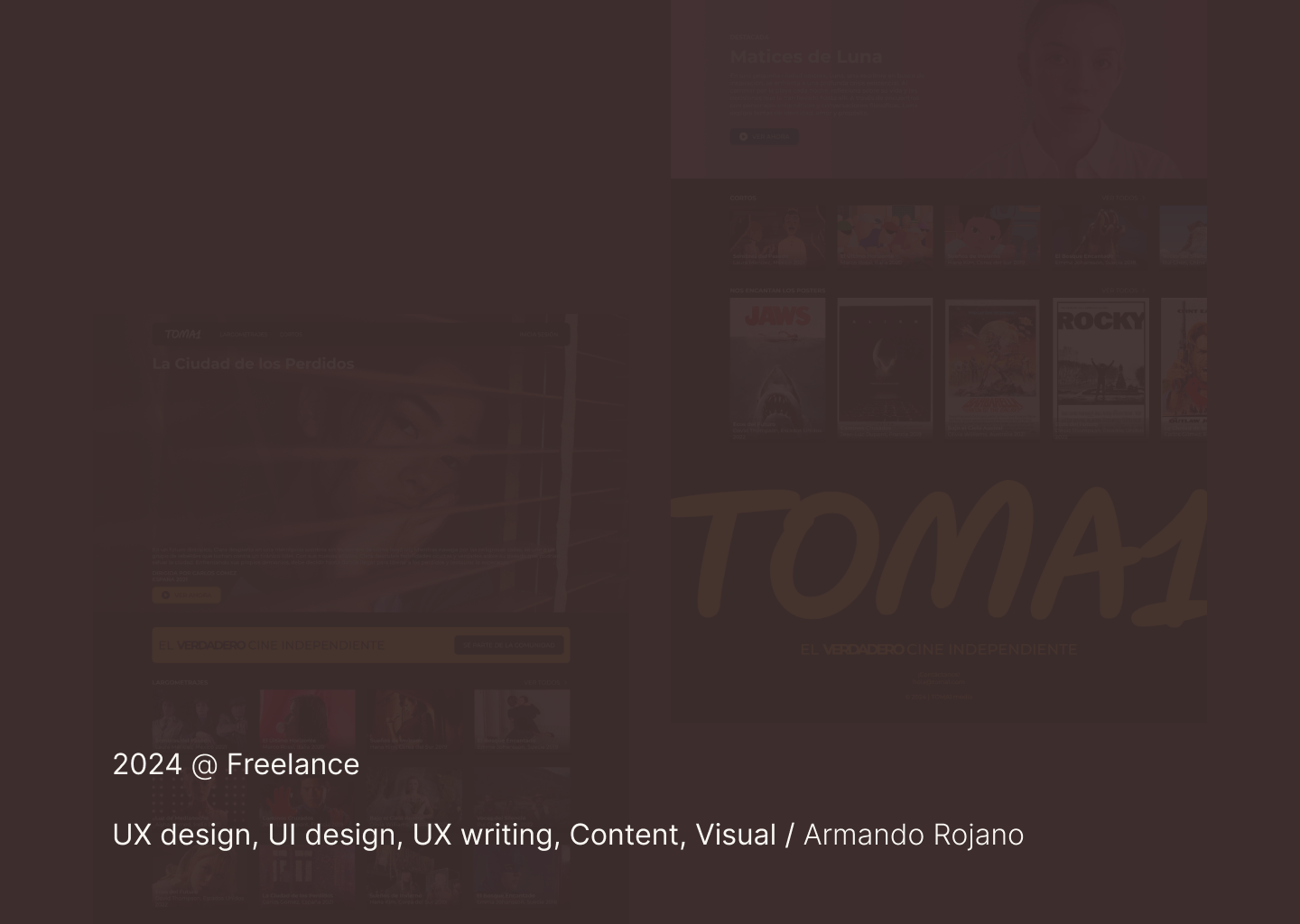 Streaming Platform Screenshot